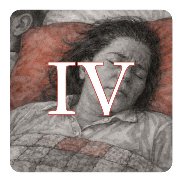 Portada del Capítulo IV, Quienes servimos también sentimos